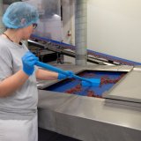 Fdevareskraber, 270 mm