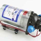 Shurflo Vandpumpe 100 psi (12V) - Udvendig gevind 1/2